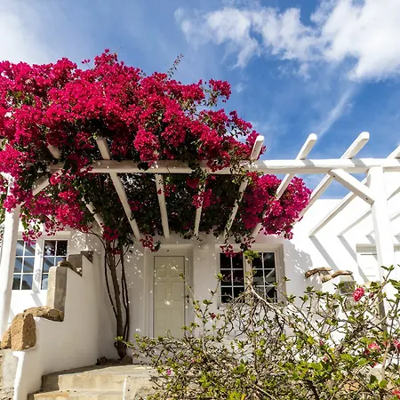 Hotel Rhenia Tourlos