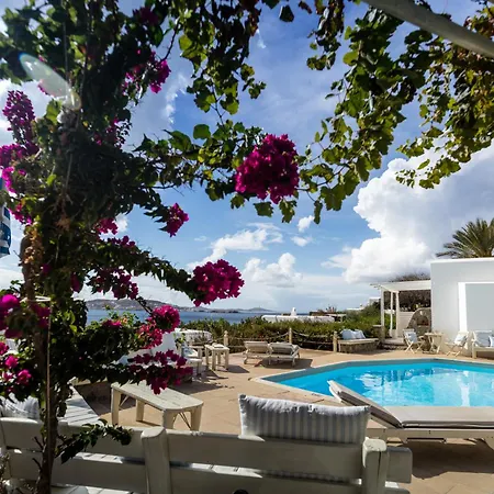 Rhenia Hotel 4*