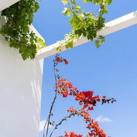 酒店 Rhenia 图罗斯