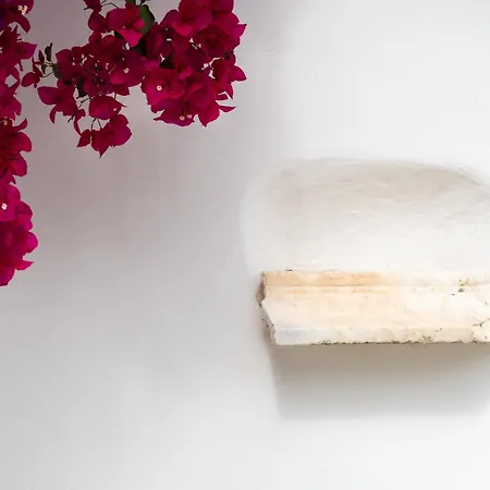 Rhenia 酒店 图罗斯