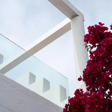 Rhenia Mykonos & Tourlos