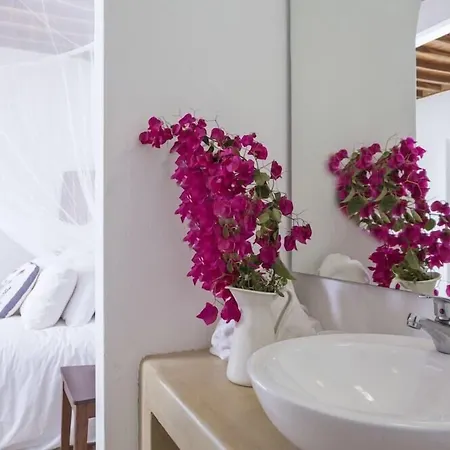 Hotel Rhenia Mykonos &