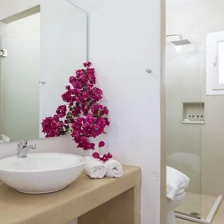 Rhenia Mykonos & Hotel