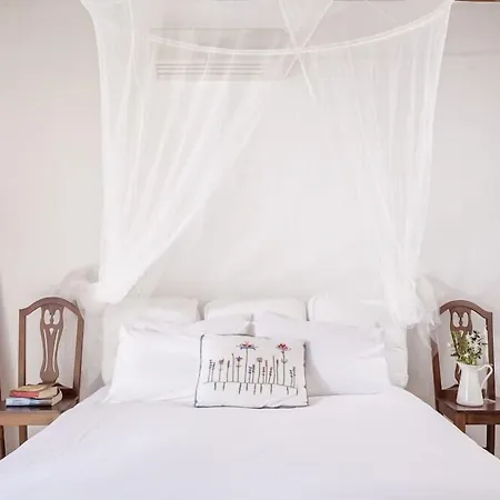 Rhenia Mykonos & Hotel