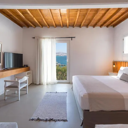 Hotel Rhenia Mykonos & 4*