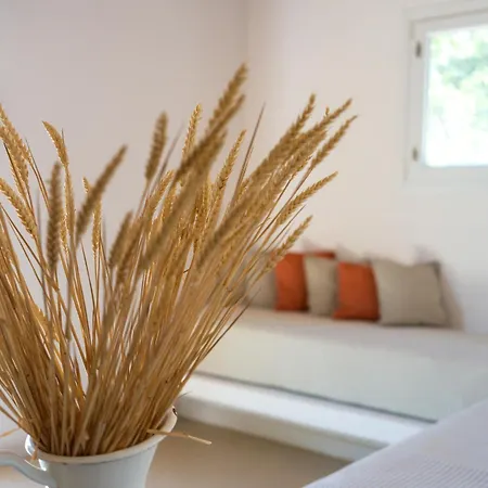 Hotel Rhenia Mykonos & Tourlos