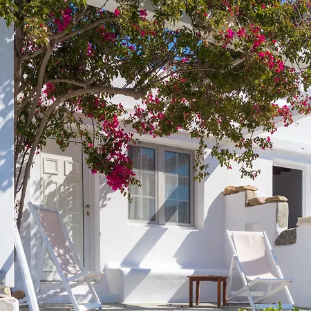 호텔 Rhenia Mykonos & 투를로스