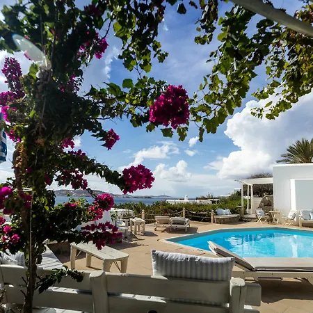 Rhenia Hotel 4*