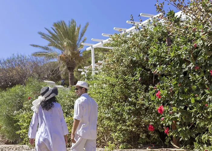 酒店 Rhenia 图罗斯