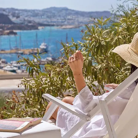 호텔 Rhenia 투를로스