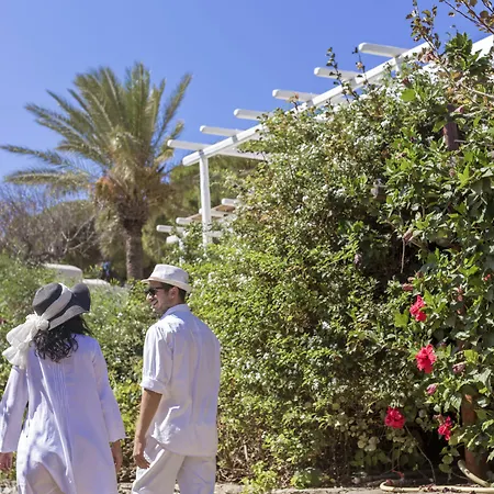 호텔 Rhenia 투를로스