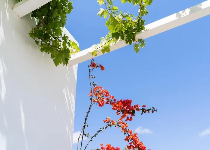 Hotel Rhenia Tourlos