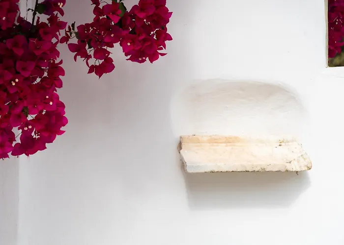 Rhenia Hotel Tourlos